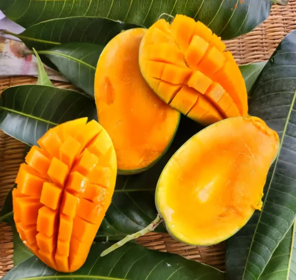 আম্রপালি আম/Amrapali Mango (প্যাকেজিং এবং ডেলিভারিসহ)