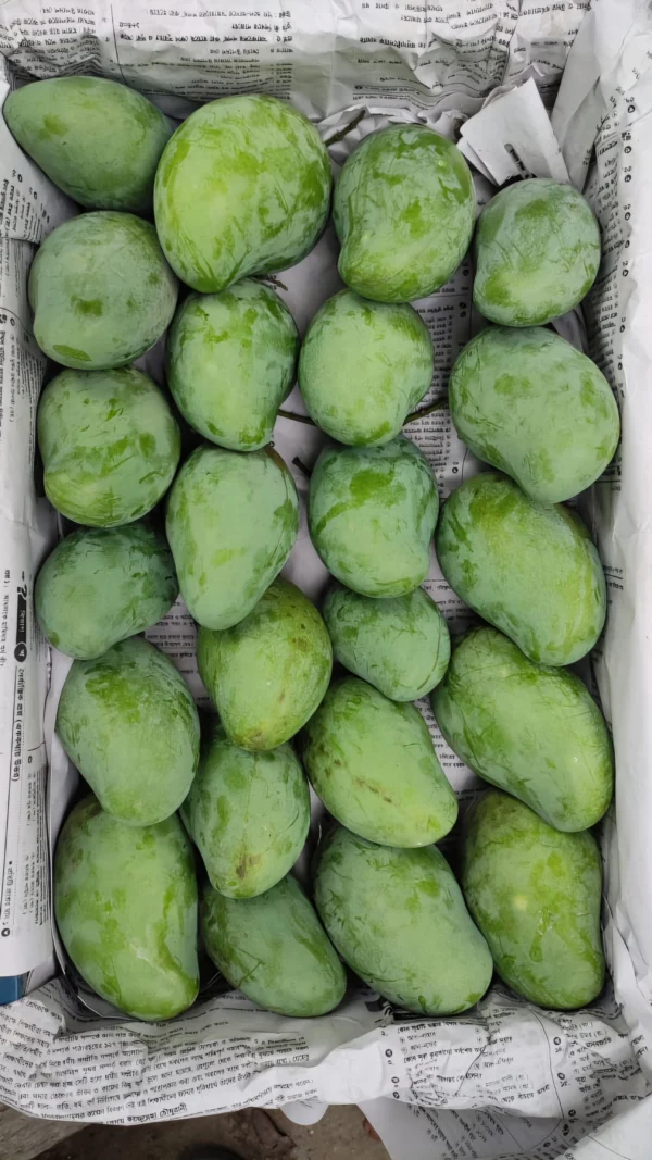 আম্রপালি আম/Amrapali Mango (প্যাকেজিং এবং ডেলিভারিসহ) - Image 7